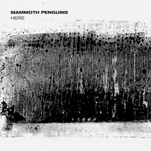 Mammoth Penguins - Here 2024 - cover.jpg